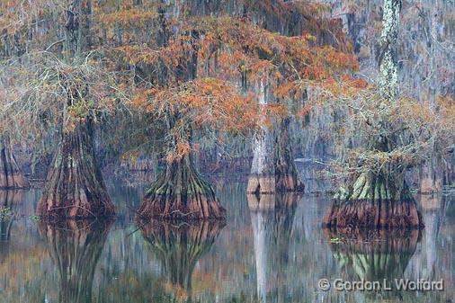 Lake Martin_25430.jpg - Photographed near Breaux Bridge, Louisiana, USA.